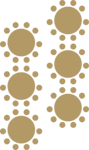 gala-178x300